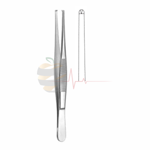 Dissecting Forceps (16cm, Standard Pattern)