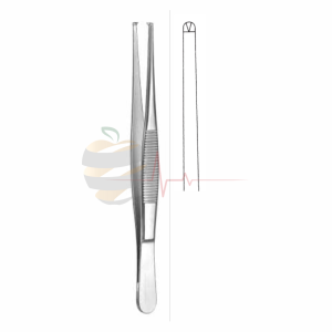 Dissecting Forceps (18cm, Standard Pattern)