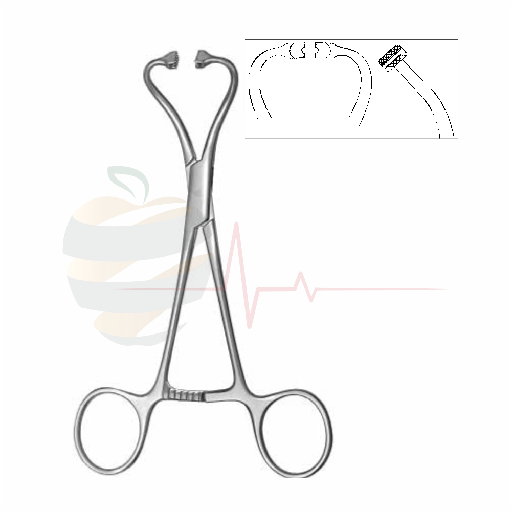 Peers-Bertram Modified Forceps – Wide Jaw 15.5 cm / 6"