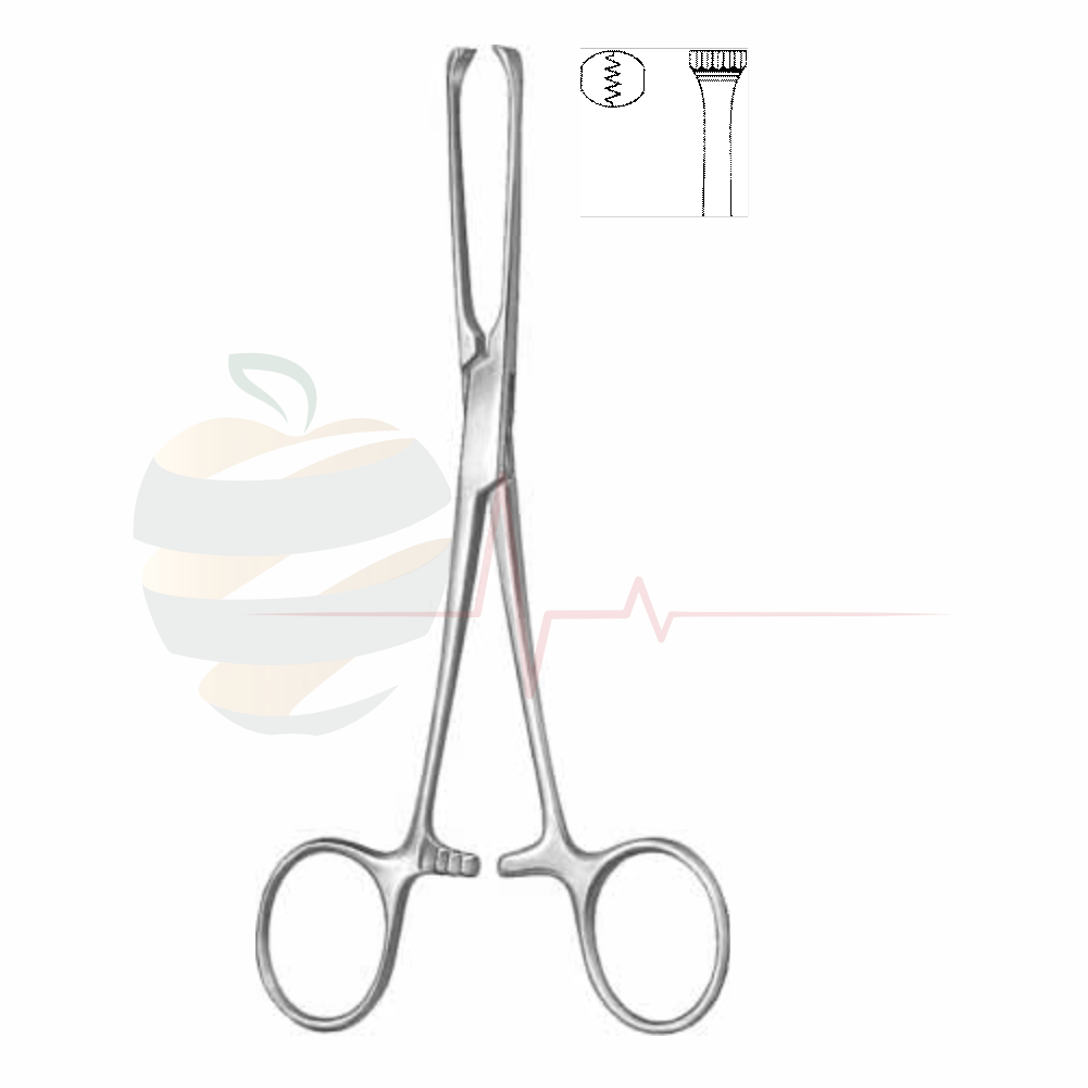 Allis Tissue Grasping Forceps 15.5 cm / 6 1/8"