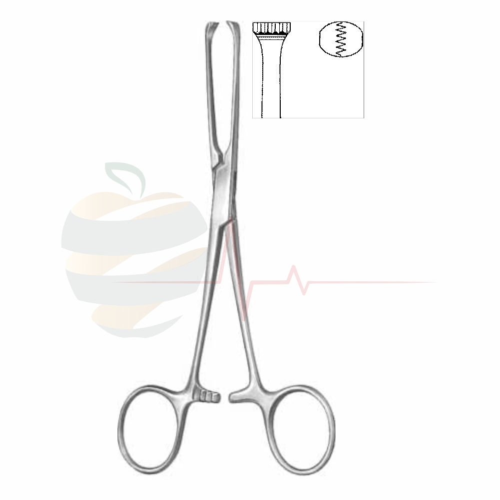 Allis Forceps 19 cm / 7 4/8"